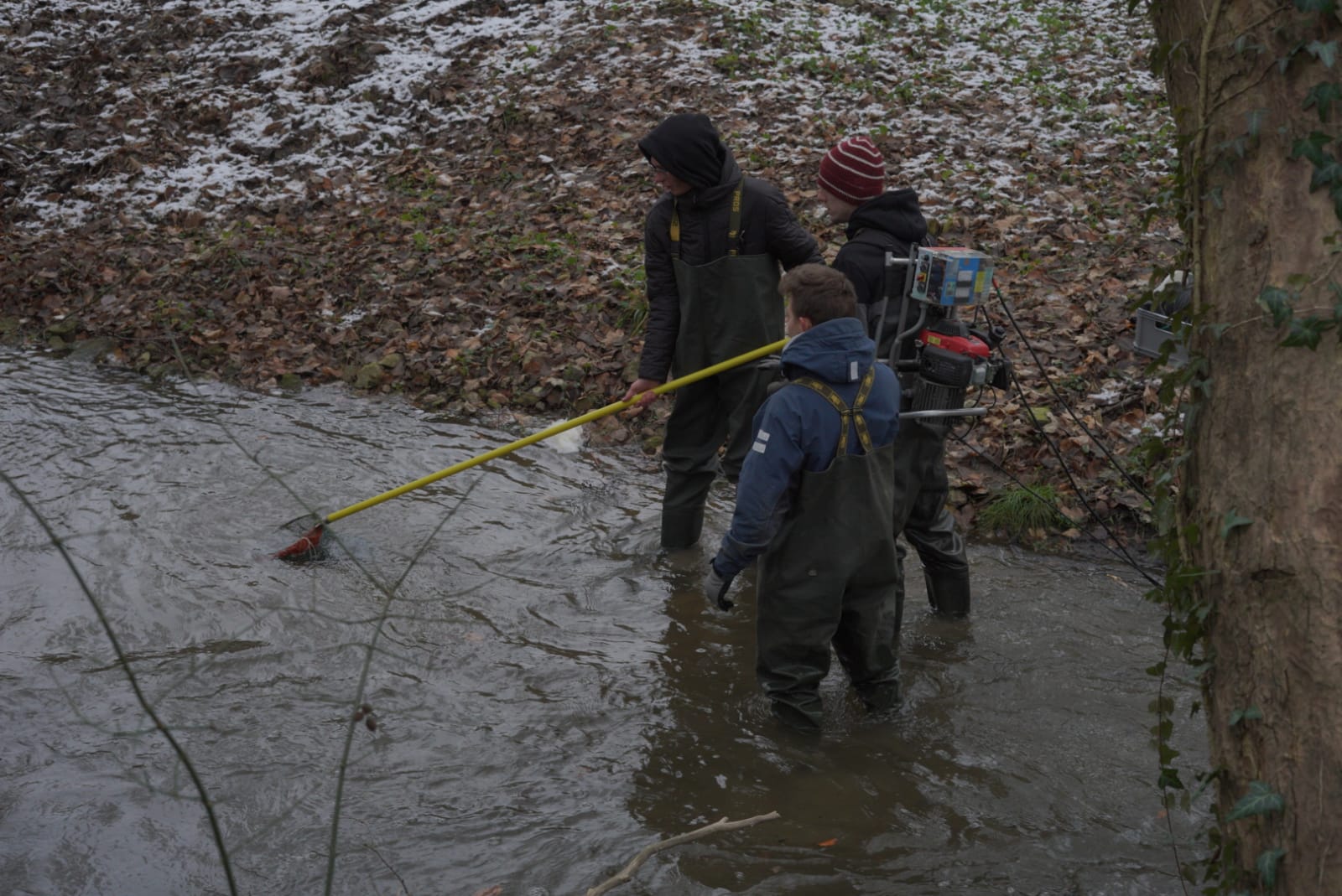 Studenci brodzą w rzece i szukają ryb.