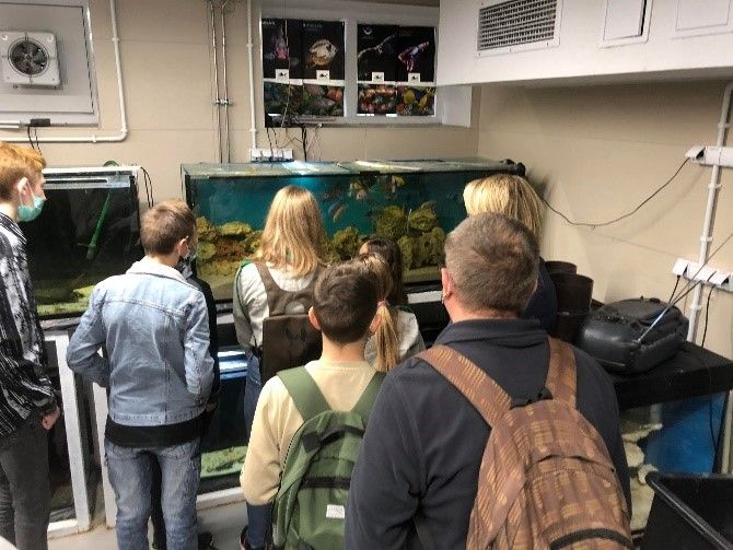 Uczestnicy oglądają akwaria z rybami.