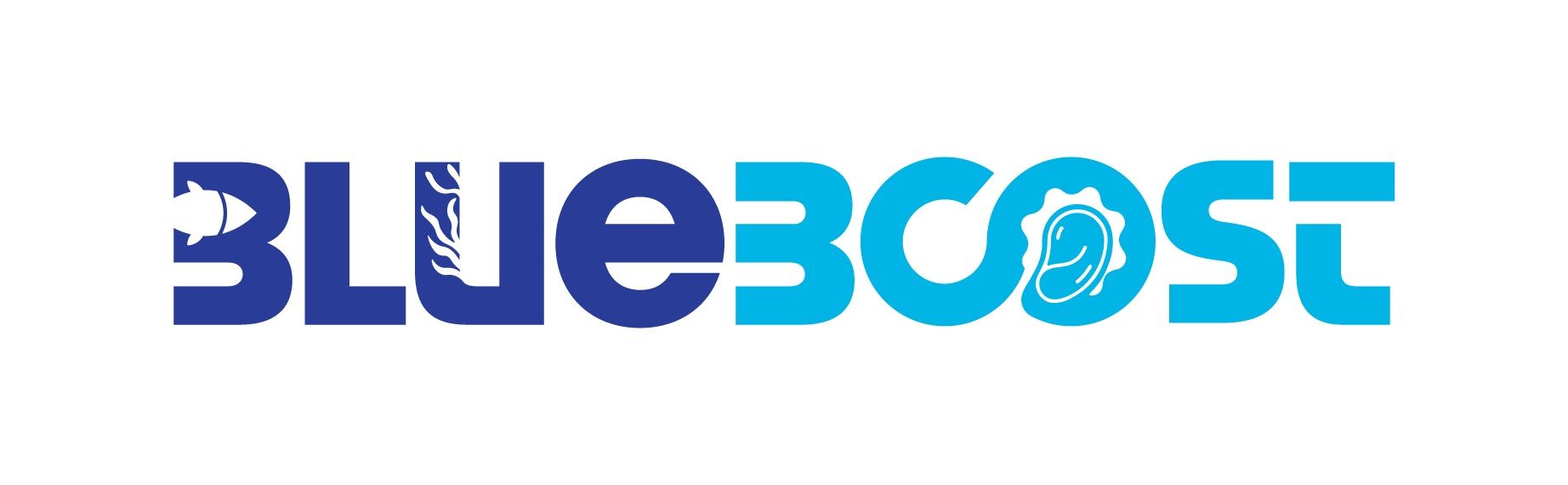 logo blueboost